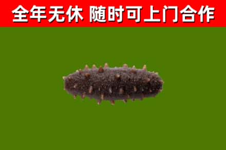 万宁烟酒回收干海参.jpg